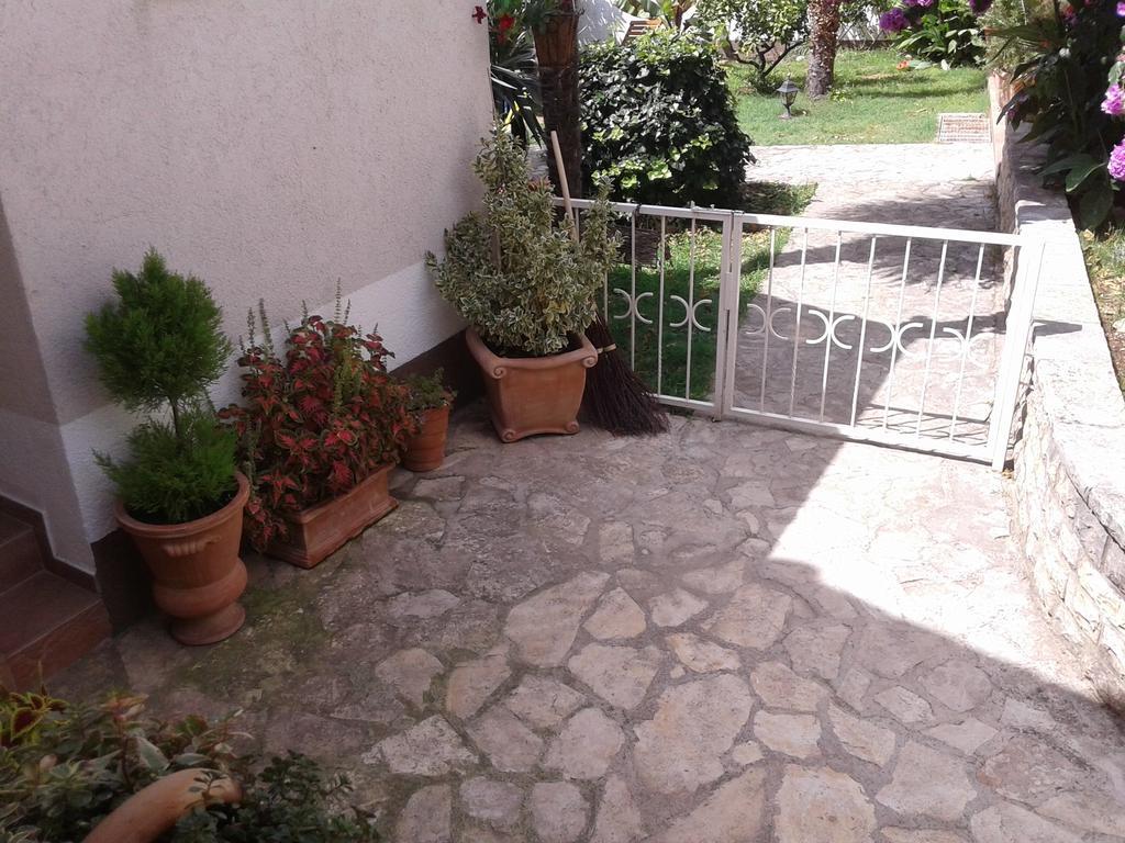 Apartments Terra Biograd Na Moru Zewnętrze zdjęcie